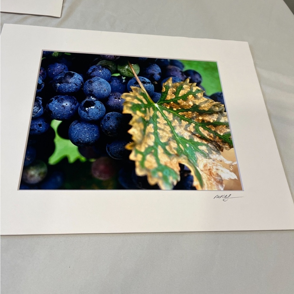 3 Framed Photos Blue Green Purple Photography Art14x11 matte framed and signed